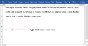 How to insert Endnote in word (Step-by-Step) - Software Accountant