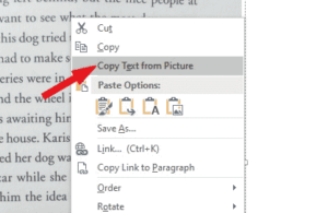 Picture to Text: 4 ways to copy text from image - Software Accountant
