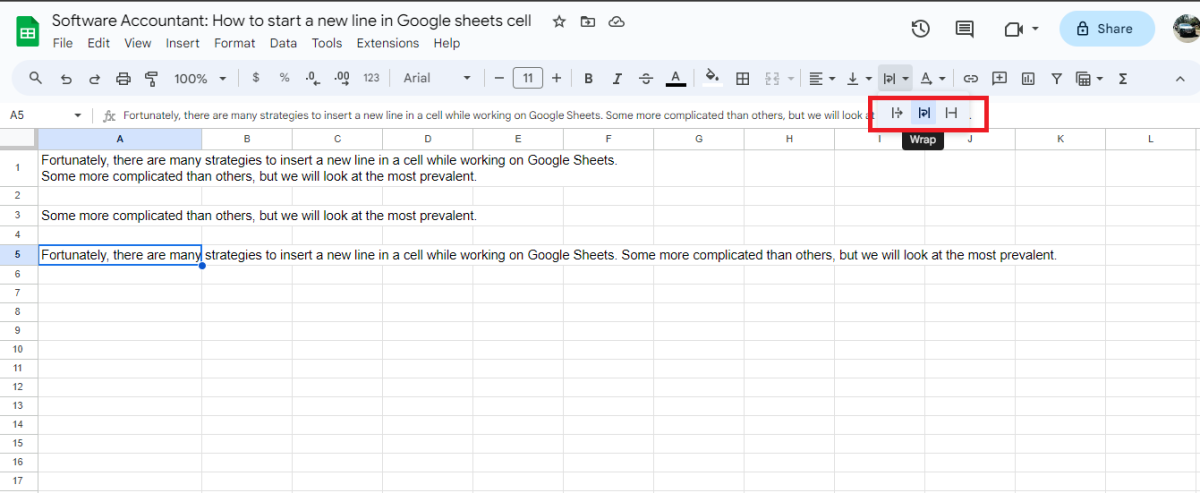 How to Start a New Line in Google Sheets cell - Software Accountant