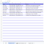 Top 6 FREE Google Sheets Address Book Template [2024] - Ultimate Guide